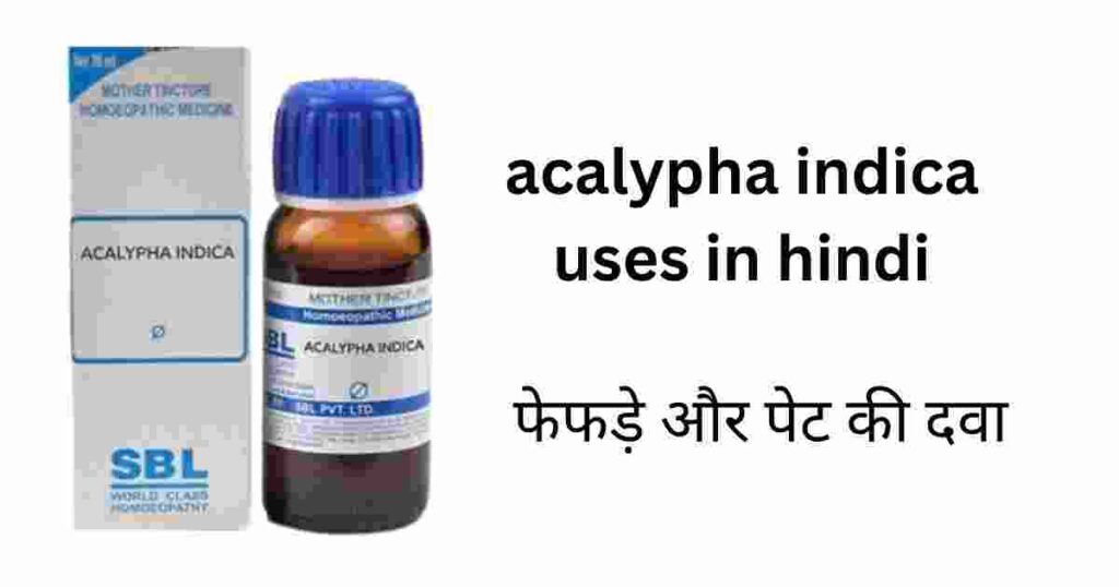 acalypha-indica-uses-in-hindi