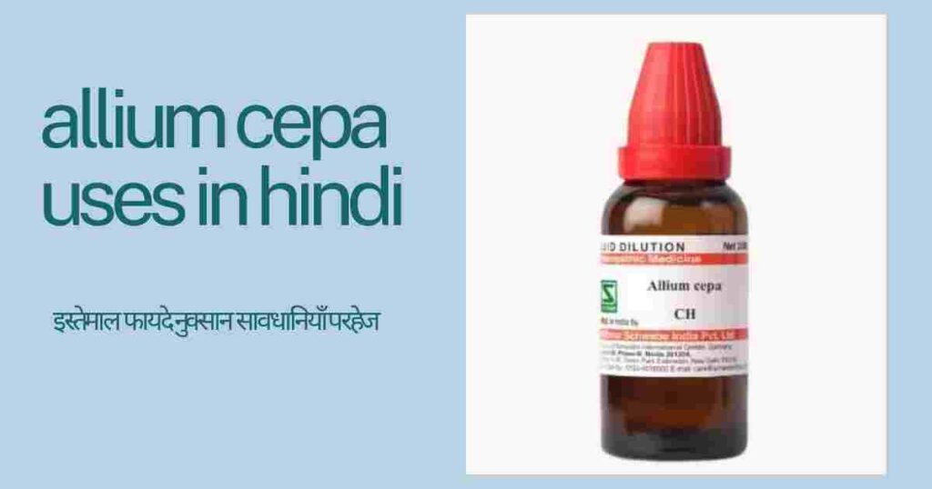 allium-cepa-uses-in-hindi