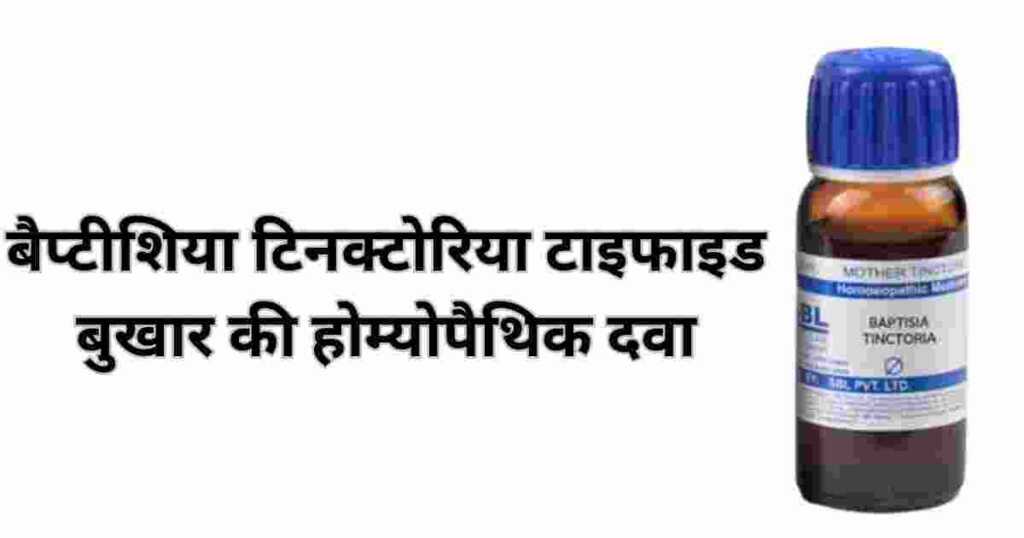 बैप्टीशिया-टिनक्टोरिया-टाइफाइड-बुखार-की-होम्योपैथिक-दवा